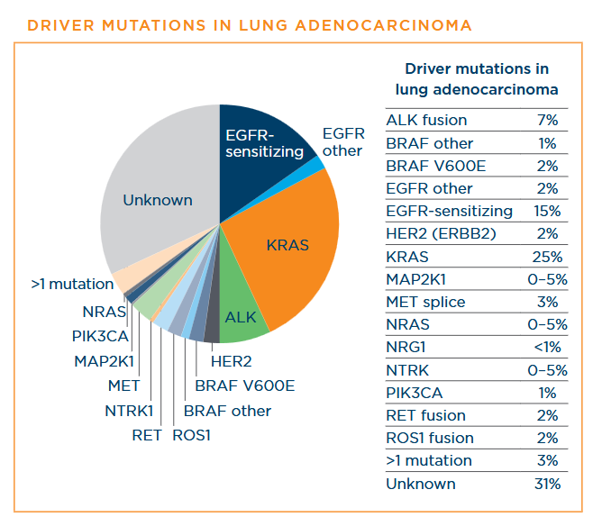 pie chart of driver mutations in lung adenocarcinoma