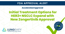 new Zongertinib approval